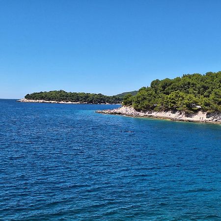 Villa Kamelija Fažana Buitenkant foto